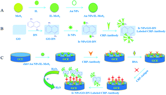 Graphical abstract: Electrochemical detection of C-reactive protein using functionalized iridium nanoparticles/graphene oxide as a tag