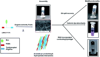 Graphical abstract: Self-assembly and multifunctionality of peptide organogels: oil spill recovery, dye absorption and synthesis of conducting biomaterials