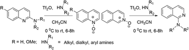 Graphical abstract: A mild and metal-free synthesis of 2- and 1-alkyl/aryl/dialkyl-aminoquinolines and isoquinolines