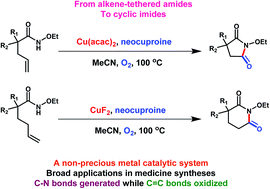 Graphical abstract: Preparation of cyclic imides from alkene-tethered amides: application of homogeneous Cu(ii) catalytic systems