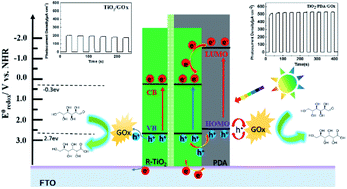 Graphical abstract: Constructing a TiO2/PDA core/shell nanorod array electrode as a highly sensitive and stable photoelectrochemical glucose biosensor