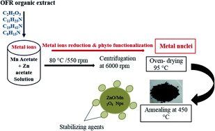 Graphical abstract: Organic template-based ZnO embedded Mn3O4 nanoparticles: synthesis and evaluation of their electrochemical properties towards clean energy generation