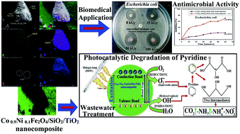 Graphical abstract: Merits of photocatalytic and antimicrobial applications of gamma-irradiated CoxNi1−xFe2O4/SiO2/TiO2; x = 0.9 nanocomposite for pyridine removal and pathogenic bacteria/fungi disinfection: implication for wastewater treatment