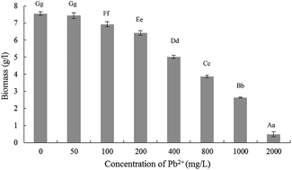 Graphical abstract: Tolerance mechanism of Trichoderma asperellum to Pb2+: response changes of related active ingredients under Pb2+ stress