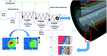 Graphical abstract: Advanced treatment of coal chemical reverse osmosis concentrate with three-stage MABR