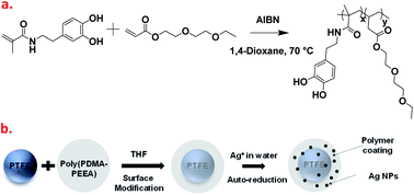 Graphical abstract: Biomimetic catechol-based adhesive polymers for dispersion of polytetrafluoroethylene (PTFE) nanoparticles in an aqueous medium