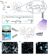 Graphical abstract: A fast UV-curable PU-PAAm hydrogel with mechanical flexibility and self-adhesion for wound healing