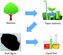 Graphical abstract: Effects of the novel catalyst Ni–S2O82−–K2O/TiO2 on efficient lignin depolymerization
