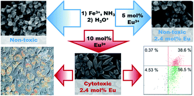 Graphical abstract: Spindle-like MRI-active europium-doped iron oxide nanoparticles with shape-induced cytotoxicity from simple and facile ferrihydrite crystallization procedure