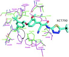 Graphical abstract: Exploring the binding mode and thermodynamics of inverse agonists against estrogen-related receptor alpha