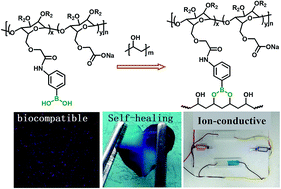 Graphical abstract: Cellulose-based self-healing hydrogel through boronic ester bonds with excellent biocompatibility and conductivity