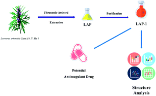 Graphical abstract: Structure characterization and anticoagulant activity of a novel polysaccharide from Leonurus artemisia (Laur.) S. Y. Hu F