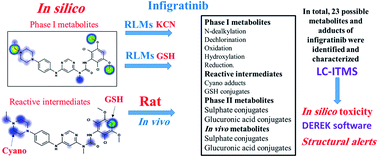 Graphical abstract: Identification and characterization of in silico, in vivo, in vitro, and reactive metabolites of infigratinib using LC-ITMS: bioactivation pathway elucidation and in silico toxicity studies of its metabolites