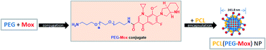 Graphical abstract: Synthesis, physicochemical characterization, toxicity and efficacy of a PEG conjugate and a hybrid PEG conjugate nanoparticle formulation of the antibiotic moxifloxacin