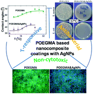 Graphical abstract: Non-cytotoxic, temperature-responsive and antibacterial POEGMA based nanocomposite coatings with silver nanoparticles