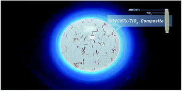 Graphical abstract: Synergetic treatment of dye contaminated wastewater using microparticles functionalized with carbon nanotubes/titanium dioxide nanocomposites