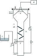 Graphical abstract: Effect of sulfate removal in a high sulfate volumetric loading micro-aerobic bio-reactor and study of subsequent bio-sulfur adsorption by iron-modified activated carbon