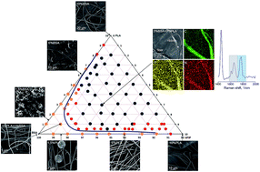 Graphical abstract: The miscibility and spatial distribution of the components in electrospun polymer–protein mats