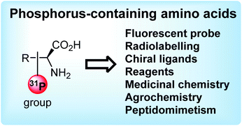 Graphical abstract: Phosphorus-containing amino acids with a P–C bond in the side chain or a P–O, P–S or P–N bond: from synthesis to applications