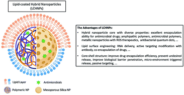 Graphical abstract: Therapeutic lipid-coated hybrid nanoparticles against bacterial infections