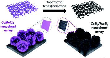 Graphical abstract: A flower-like CoS2/MoS2 heteronanosheet array as an active and stable electrocatalyst toward the hydrogen evolution reaction in alkaline media