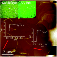 Graphical abstract: A CTAB-mediated antisolvent vapor route to shale-like Cs4PbBr6 microplates showing an eminent photoluminescence