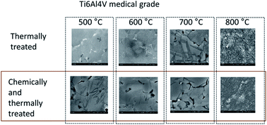 Graphical abstract: Selective modification of Ti6Al4V surfaces for biomedical applications