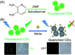 Graphical abstract: One-step synthesis of green emission carbon dots for selective and sensitive detection of nitrite ions and cellular imaging application