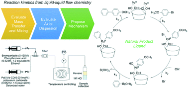 Graphical abstract: Reaction kinetics of a water-soluble palladium–β-cyclodextrin catalyst for a Suzuki–Miyaura cross-coupling in continuous flow