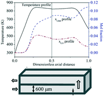 Graphical abstract: Analysis of the autothermal operability of the Sabatier reaction in a heat-recirculating microreactor using CFD