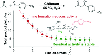 Graphical abstract: Kinetic evaluation of chitosan-derived catalysts for the aldol reaction in water