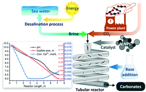 Graphical abstract: Rapid CO2 capture-to-mineralisation in a scalable reactor