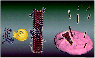 Graphical abstract: The destructive spontaneous ingression of tunable silica nanosheets through cancer cell membranes