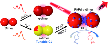 Graphical abstract: Chemically modified nanofoci unifying plasmonics and catalysis