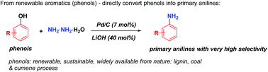 Graphical abstract: Direct conversion of phenols into primary anilines with hydrazine catalyzed by palladium