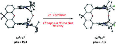 Graphical abstract: Diiron oxo reactivity in a weak-field environment