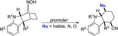 Graphical abstract: Nucleophile-intercepted Beckmann fragmentation reactions