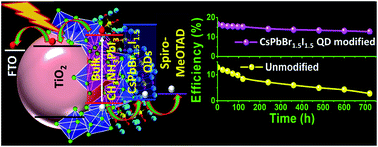 Graphical abstract: All-inorganic quantum dot assisted enhanced charge extraction across the interfaces of bulk organo-halide perovskites for efficient and stable pin-hole free perovskite solar cells