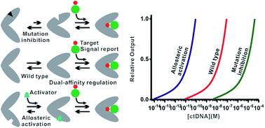 Graphical abstract: Single-step multivalent capture assay for nucleic acid detection with dual-affinity regulation using mutation inhibition and allosteric activation