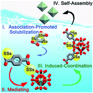 Graphical abstract: Salting-in species induced self-assembly of stable MOFs