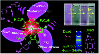 Graphical abstract: Phosphorus corrole complexes: from property tuning to applications in photocatalysis and triplet–triplet annihilation upconversion