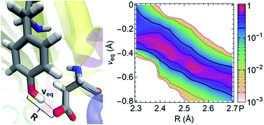 Graphical abstract: Unraveling the structural and chemical features of biological short hydrogen bonds