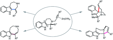 Graphical abstract: Zn(OTf)2-mediated annulations of N-propargylated tetrahydrocarbolines: divergent synthesis of four distinct alkaloidal scaffolds