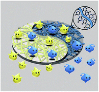 Graphical abstract: Under-liquid dual superlyophobic nanofibrous polymer membranes achieved by coating thin-film composites: a design principle