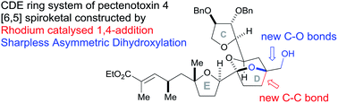 Graphical abstract: Rhodium-catalysed vinyl 1,4-conjugate addition coupled with Sharpless asymmetric dihydroxylation in the synthesis of the CDE ring fragment of pectenotoxin-4