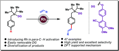 Graphical abstract: Rhodium catalyzed template-assisted distal para-C–H olefination