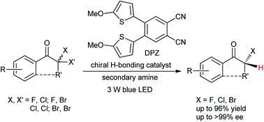 Graphical abstract: Enantioselective photoredox dehalogenative protonation