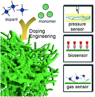 Graphical abstract: Doping engineering of conductive polymer hydrogels and their application in advanced sensor technologies