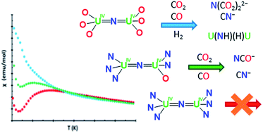 Graphical abstract: Tuning the structure, reactivity and magnetic communication of nitride-bridged uranium complexes with the ancillary ligands