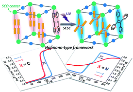 Graphical abstract: Spin-crossover modulation via single-crystal to single-crystal photochemical [2 + 2] reaction in Hofmann-type frameworks